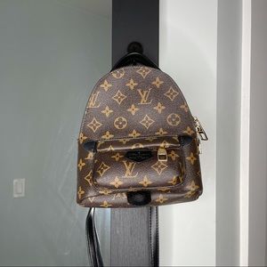 Luis Vuitton Palm Springs Bag 1:1